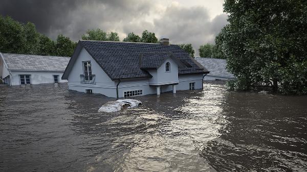 丧偶三年内再婚灾难