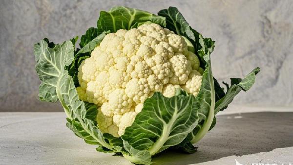 花菜在冬天是反季节吗