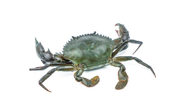 做螃蟹怎么做好吃又简单