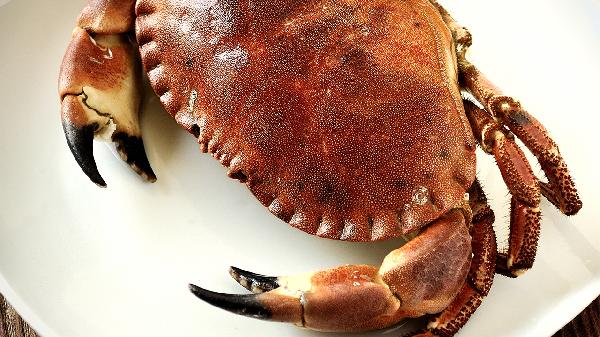 做螃蟹怎么做好吃又简单