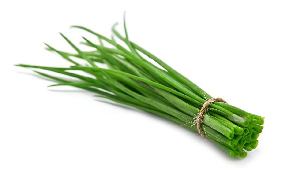 韭菜不能和什么菜一起吃