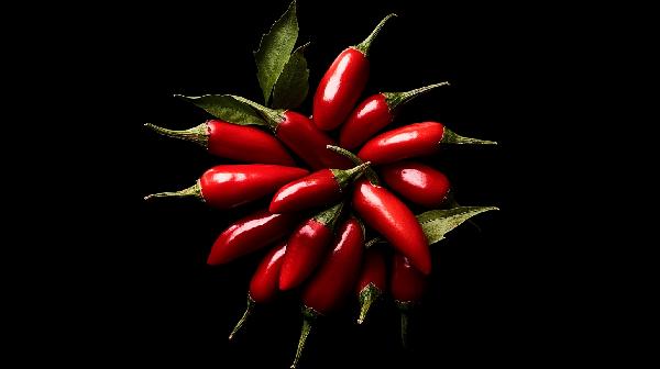 小米辣冷冻能放多久