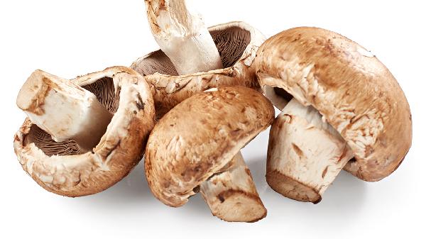 干香菇炒菜用先煮一下吗