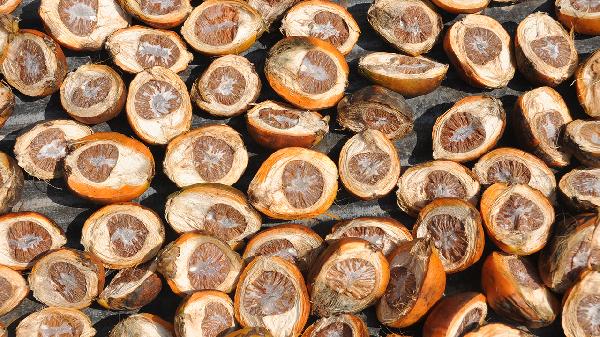 烂了一点点的水果可以吃吗