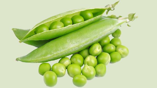 毛豆和青豆有什么区别