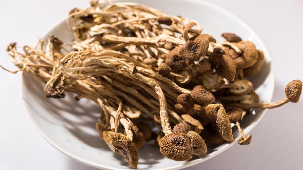 哪十大碱性食物要常吃