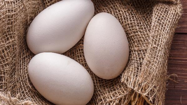 什么东西蛋白质高