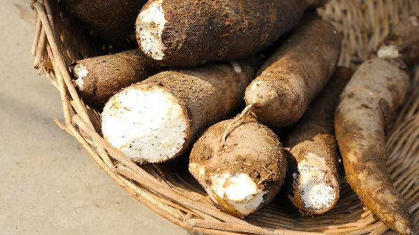 木薯粉在超市里叫什么