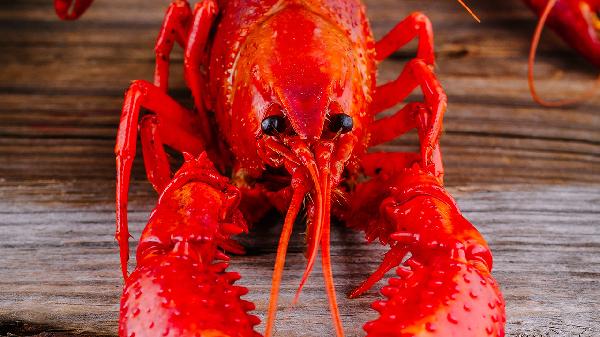 海鲜是碳水食物吗