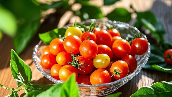 红酒和圣女果能一起吃吗