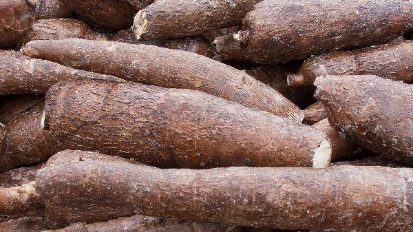 植物油是高脂肪食物嗎