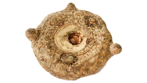 魔芋豆腐能冷冻吗