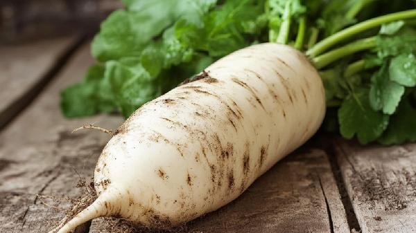 冬瓜和白萝卜可以一起吃吗?