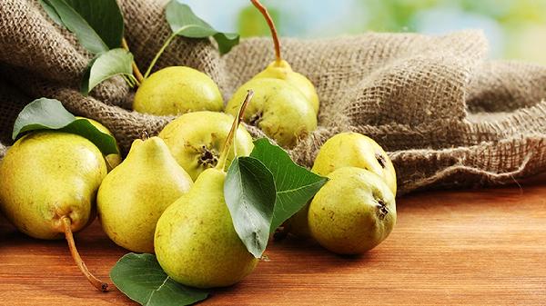 高蛋白高脂肪的食物有哪些王小琪主治医师