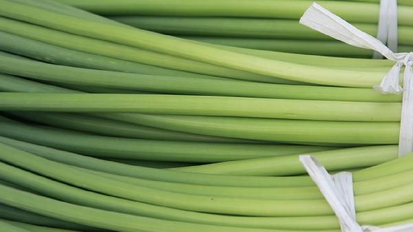 增胖吃什么食物最有效