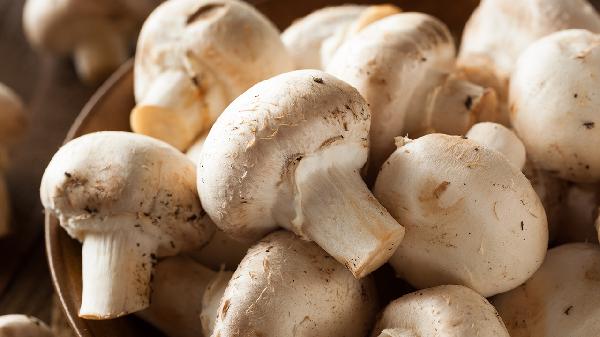 为什么热量高的食物容易发胖