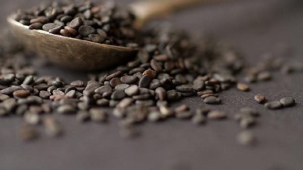 能量高脂肪低的食物会胖吗