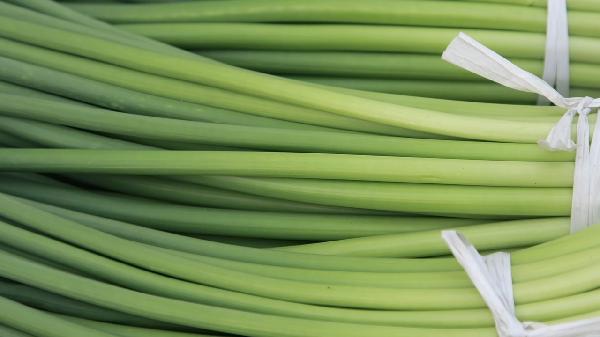 什么是高脂肪食物?