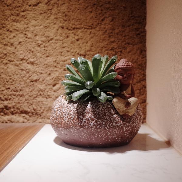 复合植物固体饮料多少钱