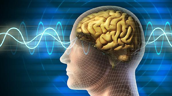 大脑失去记忆是什么病症