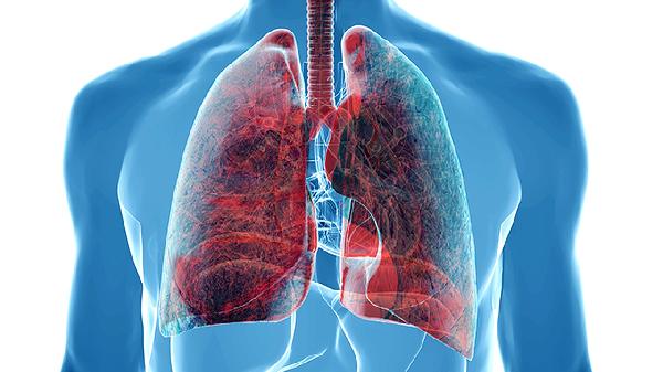 “肺为娇脏”最怕这4种气，一定要避开这几个大坑！