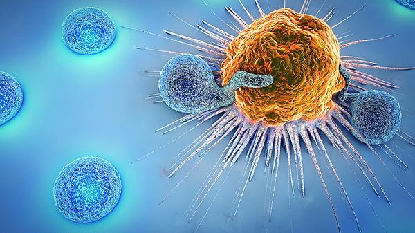 活检结果细胞核大、深染是什么意思