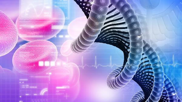 手上的血管很明显是什么原因