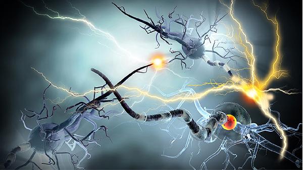 四季抗病毒合剂能和利巴韦林一起吃吗