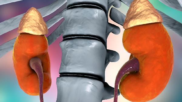 慢性腎孟腎炎嚴(yán)重嗎 了解慢性腎孟腎炎的危害