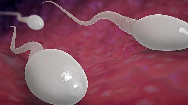 男性有轻微的弱精症能不能备孕 弱精症男性如何备孕