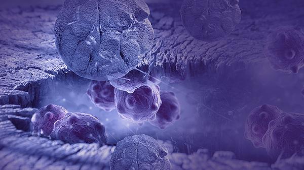 细菌性痢疾能吃水果吗 细菌性痢疾饮食有讲究