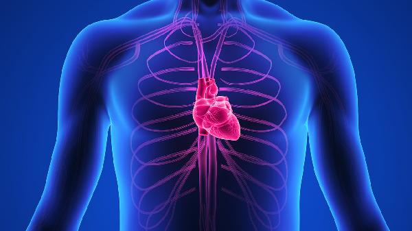 心律失常是什么病 心律失常的病因以及症状浅析