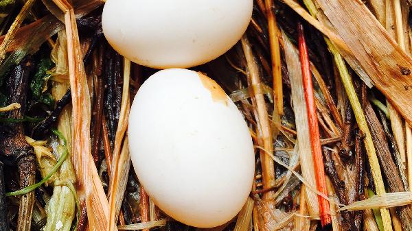 异常糖链糖蛋白检测是什么