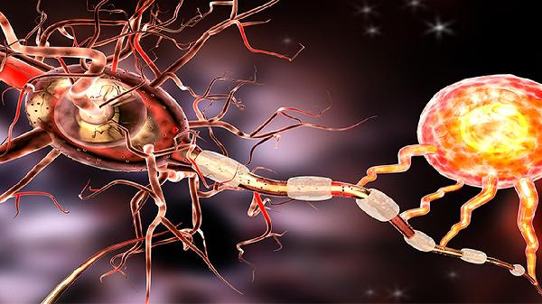 股外侧皮神经炎的病发原因有哪些