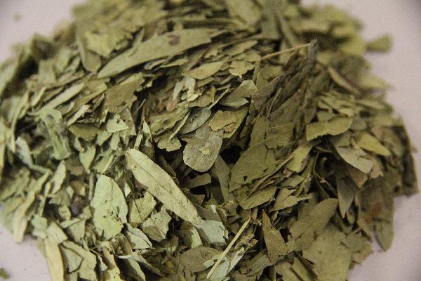 中医辨证甲流感病毒的症状