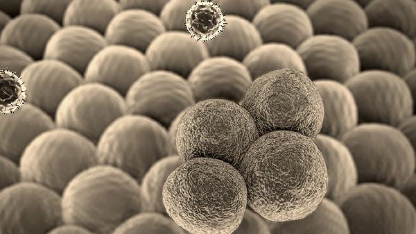 中年后癌症易高发！提醒：这些癌易发展成“夫妻癌”，需留意