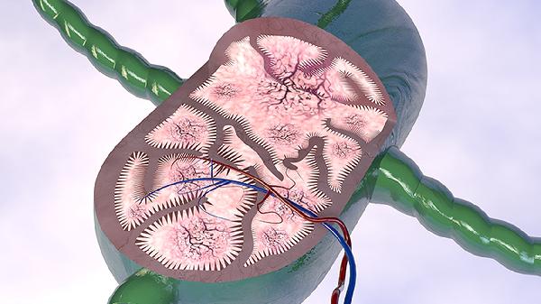 6种食物被称为血管的“软化剂”，平时多吃点，软化血管预防血栓