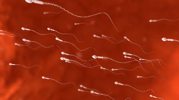 y精子缺失生不了男孩吗