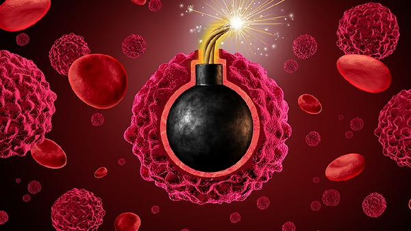 化疗中性粒细胞偏低是怎么回事