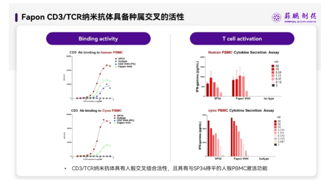 菲鹏制药研发具备种属交叉活性抗CD3纳米抗体，引领TCE药物开发新方向