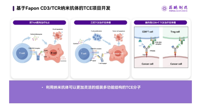 菲鹏制药研发具备种属交叉活性抗CD3纳米抗体，引领TCE药物开发新方向