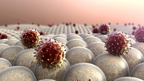 尿检白细胞酯酶正负是什么意思