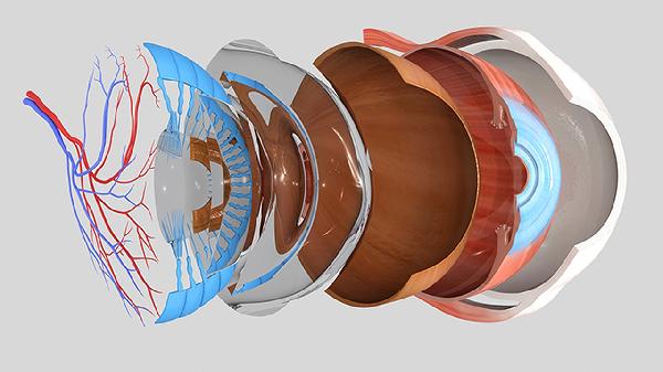 一到晚上眼睛就红是怎么回事