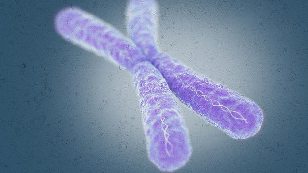21三体综合症是染色体数目变异吗