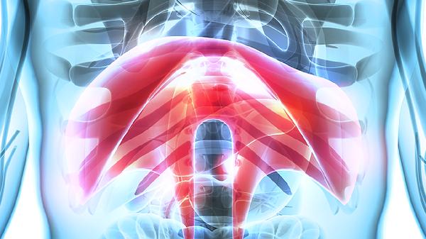 骨折可引起哪些重要内脏器官损伤