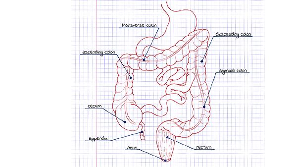 宝宝得肠套叠怎么办 解决宝宝肠套叠的三个方法介绍