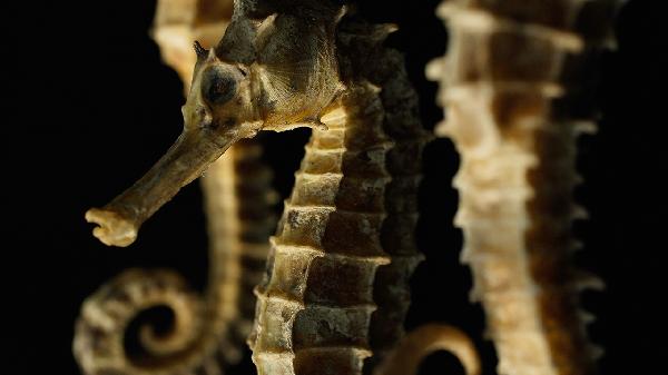 睡眠质量差怎么调理 睡眠质量差的3个调理方法介绍