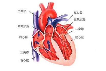 心血管风险的评估有哪些方面