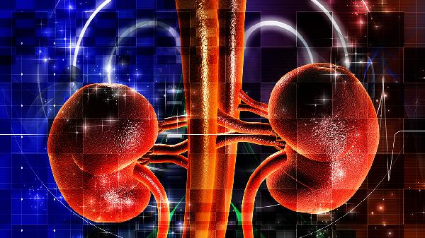 肾结石有哪些种类 浅析肾结石的5种类型