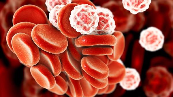 临床肿瘤治疗中白细胞的异常有哪些